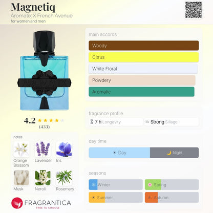 Magnetiq Eau de Parfum 100ml Aromatix X French Avenue