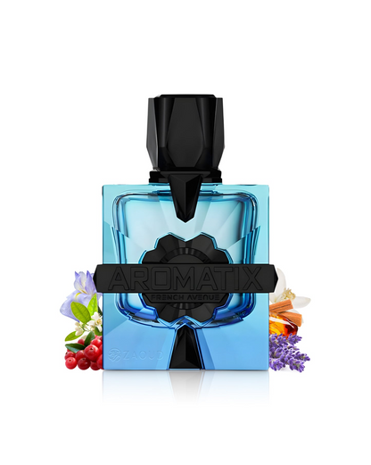 Magnetiq Eau de Parfum 100ml Aromatix X French Avenue