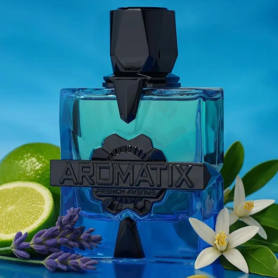 Magnetiq Eau de Parfum 100ml Aromatix X French Avenue