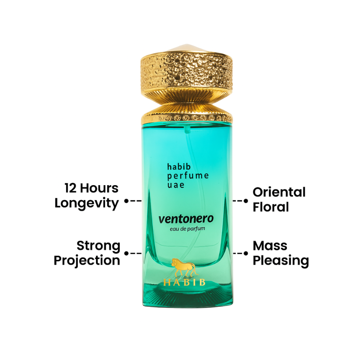 Vento Nero Eau de Parfum 100ml Habib Perfumes