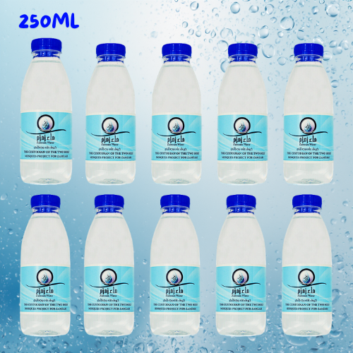 zam zam water 250ml authentic
