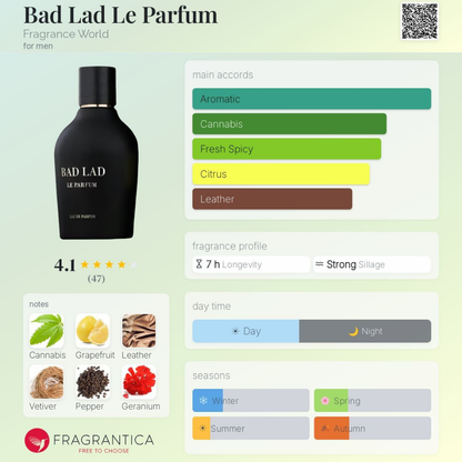 Bad Lad Le Parfum Eau de Parfum 100ml Fragrance World