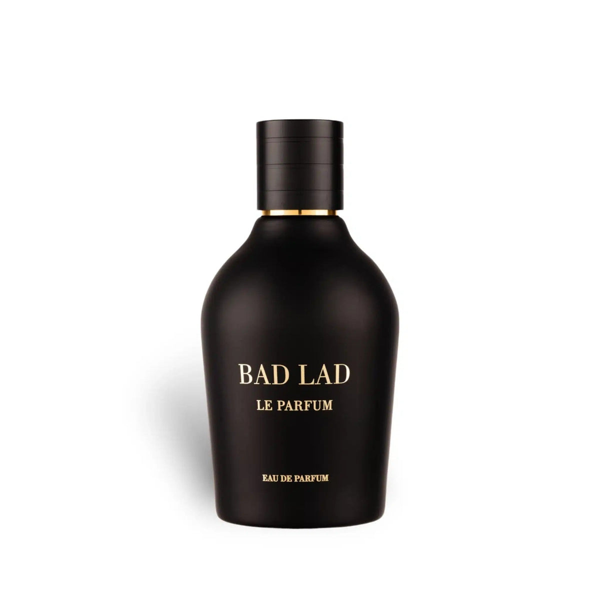 Bad Lad Le Parfum Eau de Parfum 100ml Fragrance World