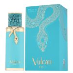 vulcan feu 100ml wholesale