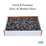 Premium Ajwa Al Madinah Dates from Saudi Arabia