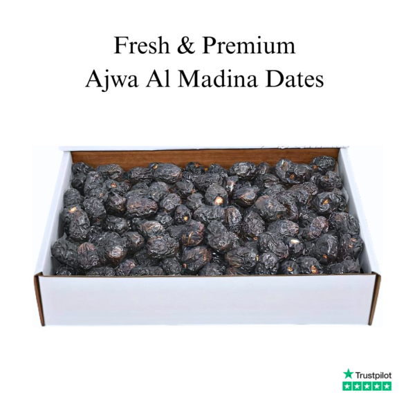 Premium Ajwa Al Madinah Dates from Saudi Arabia