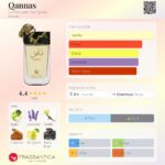 Qannas 90ml Eau de Parfum Le Falcone - Image 4