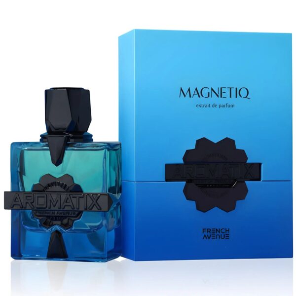 Aromatix Magnetiq Perfume 100ml – French Avenue