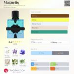 Aromatix Magnetiq Perfume 100ml – French Avenue - Image 4